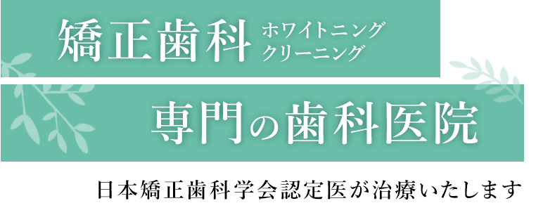 矯正歯科ホワイトニングクリーニング専門の歯科医院 日本矯正歯科学会認定医が治療いたします